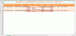 Reporte de conceptos en Microsoft Excel.