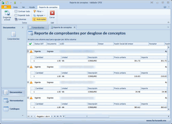 Pantalla del reporte de conceptos de los XML validados.